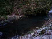 Silver Falls 12.10.05 046 